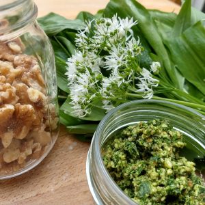 Cooking with Wild Garlic